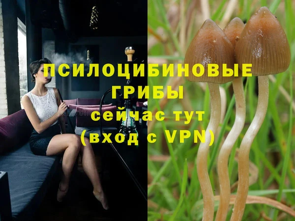 спайс Алексеевка