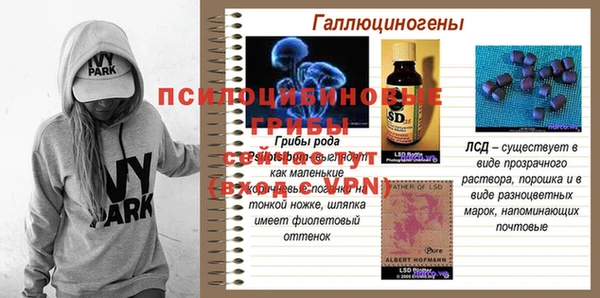 спайс Алексеевка