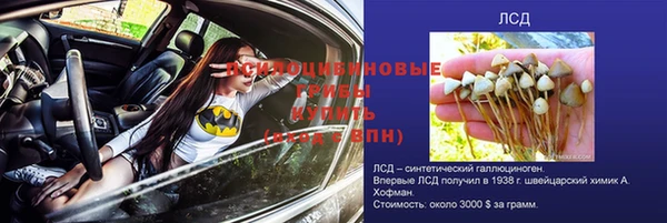 марки nbome Алзамай