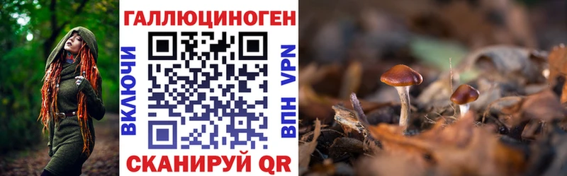 Псилоцибиновые грибы Magic Shrooms  Сосновоборск 