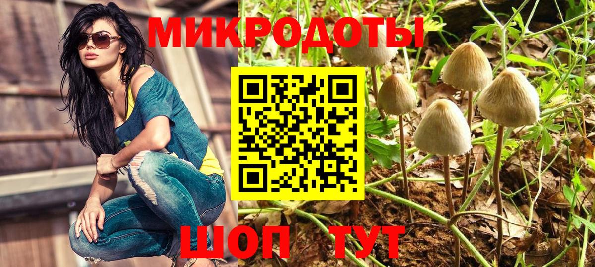 Сосновоборск  Псилоцибиновые грибы мухоморы  Псилоцибиновые грибы прущие грибы  Вход с VPN 