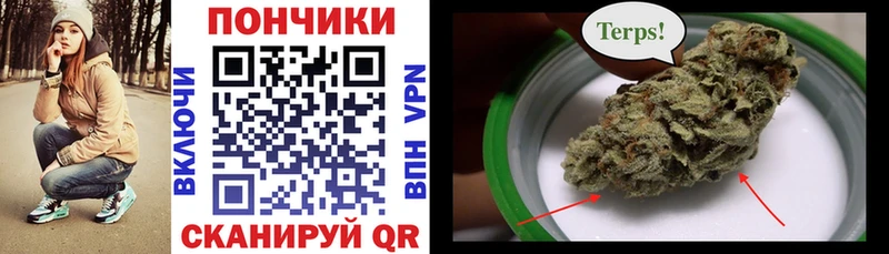 Бошки марихуана SATIVA & INDICA  где найти   Сосновоборск 